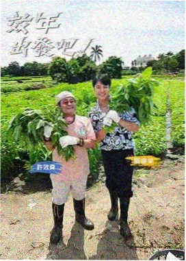 大众影视 厨房里的哲学课 美食人文综艺 索引卡封面